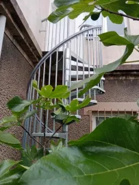 Location Grand studio duplex meublé 28m² proche Paris