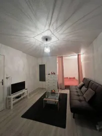 Grand F1 35m² meublé en parfait état Nancy