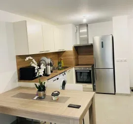 Location Grand Appartement T2 avec une terrasse