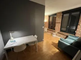 Location Beau studio meublé de 29 m2 rénové