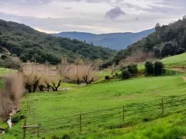 Vente ARDECHE PROPRIETE DE CHARME 10 HA
