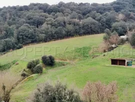 Vente ARDECHE PROPRIETE DE CHARME 10 HA