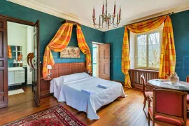 Vente TARN Château XIXème Hôtel Événementiel 3 HA