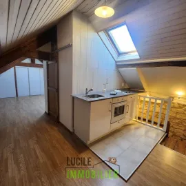 Vente Idéal pour investisseur 1 bien 2 logements