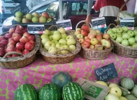 Vente PYRENEES ORIENTALES DOMAINE ARBORICOLE 10.5 HA