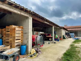 Vente PYRENEES ORIENTALES DOMAINE ARBORICOLE 10.5 HA