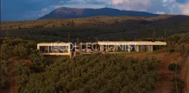 Villa Messinia Pylos