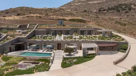 Villa Apollonas Paros