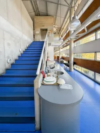 Location Location Bureaux Marseille 13016