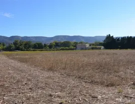 Terrain à vendre à vocation hôtelière de 18.500 m² divisible à partir de 9000 m² Cheval-Blanc