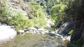 Vente Forêt de 308 Hectares au Cœur du Conflent