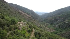 Vente Forêt de 308 Hectares au Cœur du Conflent