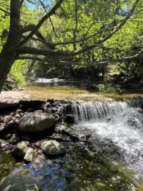 Vente Forêt de 308 Hectares au Cœur du Conflent