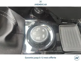 Voiture Peugeot 2008 ALLURE BUSINESS 110 Garantie 12 mois