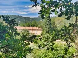 Vente PROVENCE VERTE DOMAINE 62 HA OLIVERAIE VIGNES