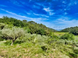 Vente PROVENCE VERTE DOMAINE 62 HA OLIVERAIE VIGNES
