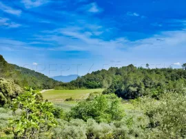 Vente PROVENCE VERTE DOMAINE 62 HA OLIVERAIE VIGNES