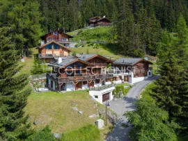 Location de vacances Chalet Octave