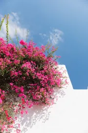 Location de vacances Villa Kaly
