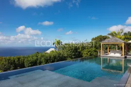 Villa Caro Saint-Barthélémy