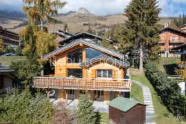 Chalet Roselle Bagnes