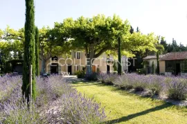 Mas Sedo Saint-Rémy-De-Provence