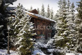 Location de vacances Chalet Saulire