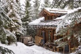 Chalet Saulire Courchevel
