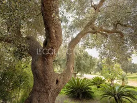 Location de vacances Masseria Ozen