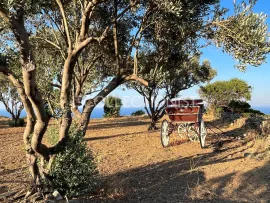 Location de vacances Villa Leger