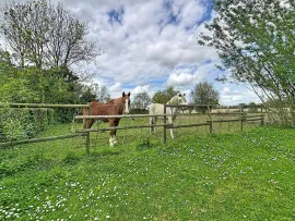 Vente Axe GRANVILLE-COUTANCES - Maison anglo-normande avec chambre