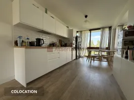 Colocation Colocation spacieuse – Ménage et piscine