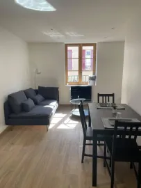 Location T2 meublé lumineux à Caluire-et-Cuire