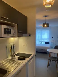 Location A202 STUDIO MEUBLE 20M²