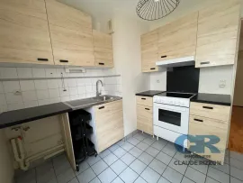 Vente RIVE DE MEURTHE - F2 loué à vendre