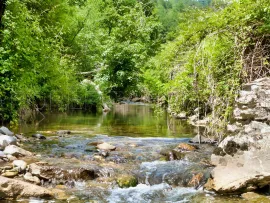 Vente En Ardèche Mas de Caractère sur 13 Ha