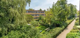 Colocation Braunlager Straße, Berlin