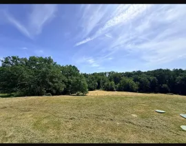 Vente Deux maisons indépendantes, 2 piscines, gîte et terrain arboré – 15 min de Bergerac