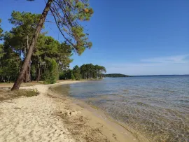 Vente Terrain constructible à PARENTIS en BORN