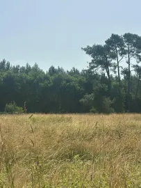 Vente Terrain constructible à GASTES