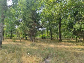 Vente Ancien camping