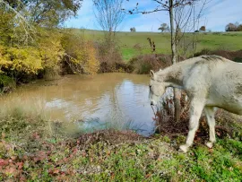 Vente GERS Ferme autonome et bioclimatique 42 Ha
