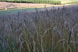 Vente GERS Ferme autonome et bioclimatique 42 Ha