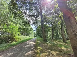 Vente Maison sur terrain à Commensacq