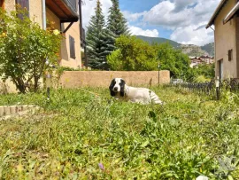 Vente Superbe maison plein centre