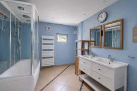 Vente Maison en pierre avec piscine et dépendances