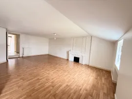 Vente Appartement lumineux avec cheminée au cœur de Nantes
