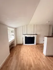 Appartement lumineux avec cheminée au cœur de Nantes Nantes