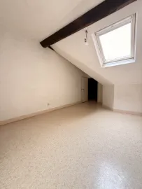Vente Appartement lumineux avec cheminée au cœur de Nantes