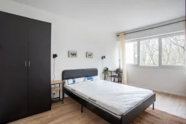 Colocation 1 chambre disponible en colocation